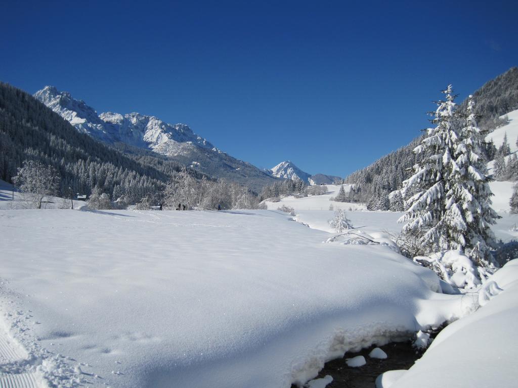 Appartements Haus Bachmann San Candido Dış mekan fotoğraf